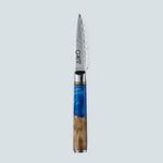 Aiko Blue Damascus Steel Knife with Coloured Blue Resin Handle